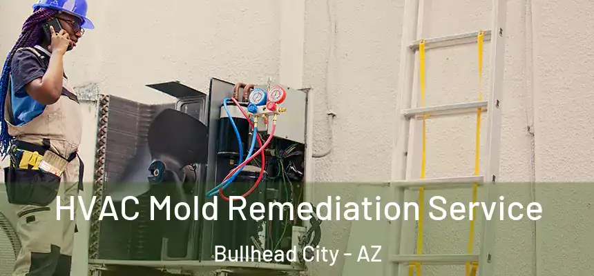  HVAC Mold Remediation Service Bullhead City - AZ