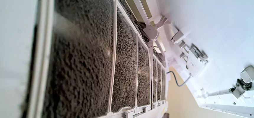 Preventive Air Duct Bacteria Removal in Bullhead City