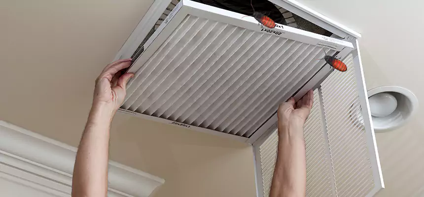 Our Insect Removal from Air Ducts Services in Bullhead City, AZ