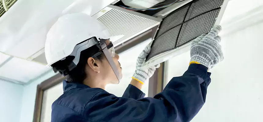 Our Mold & Mildew Removal from Air Ducts Services in Bullhead City, AZ