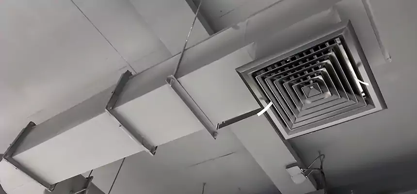 Our Pest Removal From Ducts Services in Bullhead City, AZ