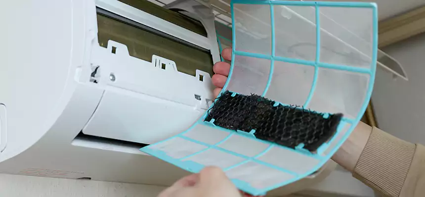 Gentle Ductwork Odor-Control Pet Dander Duct Cleaning in Bullhead City, AZ