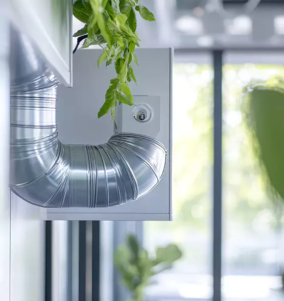 Professional Eco-Safe Dryer Vent Cleaning in Bullhead City, AZ