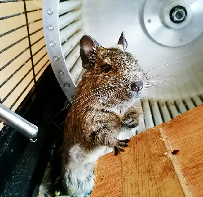 Why Homeowners & Businesses Trust Us Bullhead City, AZ